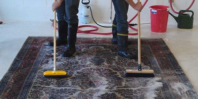 pro-rug-cleaning-services-polyester-and-polyester-blends